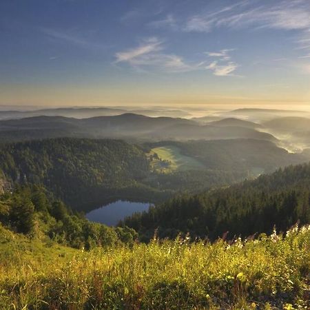 Waldloft Titisee Bagian luar foto