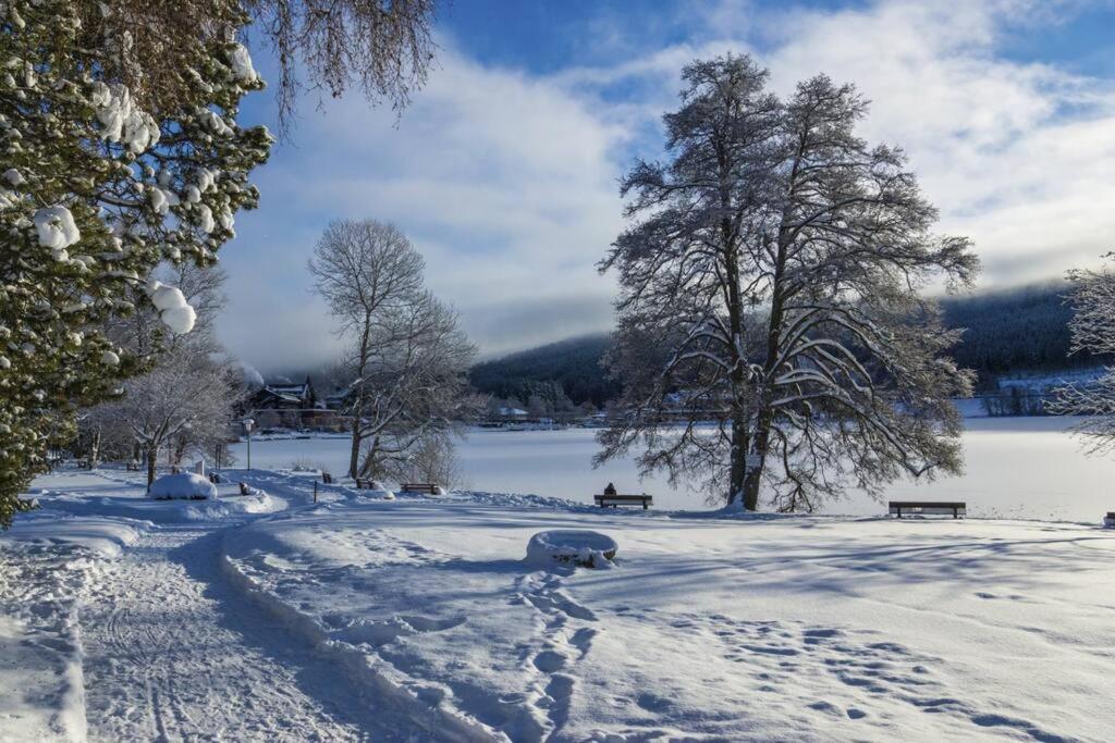 Waldloft Titisee Bagian luar foto