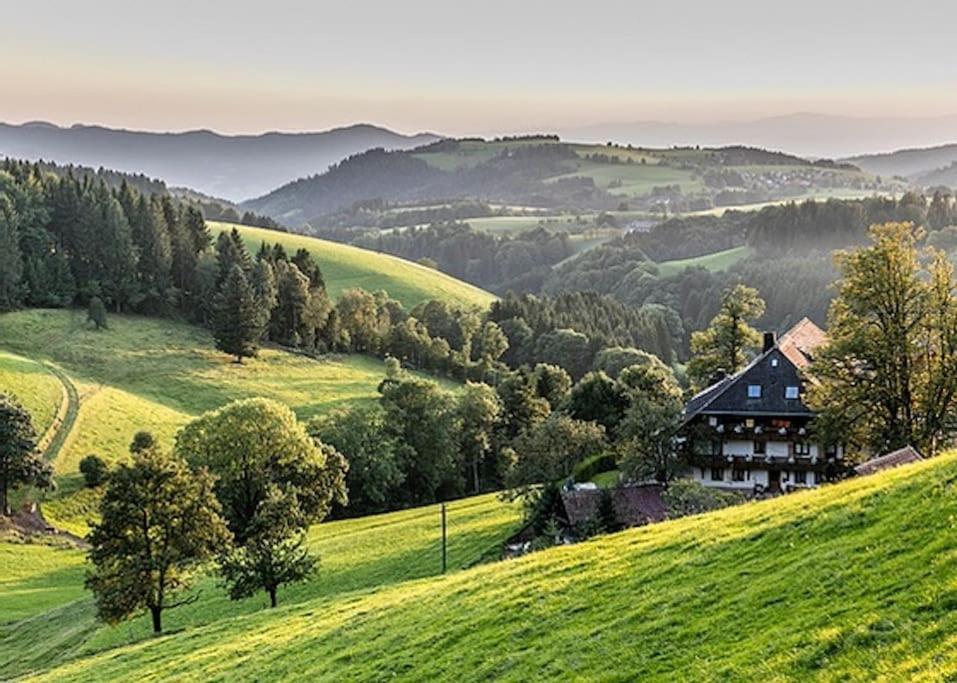 Waldloft Titisee Bagian luar foto