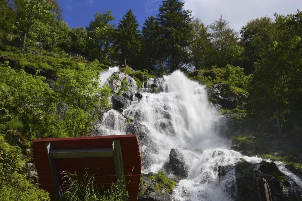Waldloft Titisee Bagian luar foto